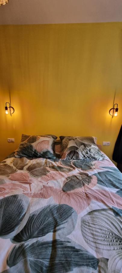 Kasa D'Vizin Hotel Paul Kültér fotó